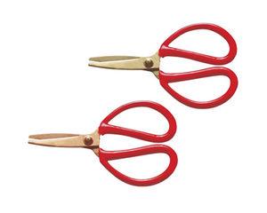non-magnetic pliers / antispark
