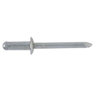 blind rivet / flat-head / cylindrical head / steel