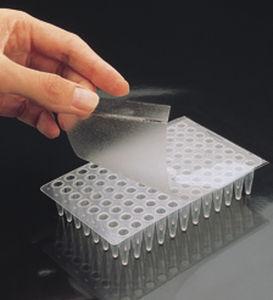 adhesive film / for microplates