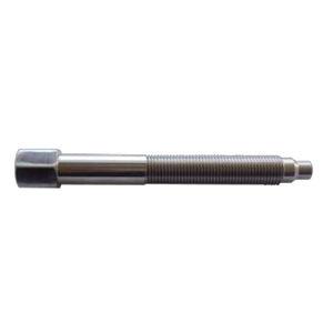 socket head bolt / stainless steel