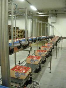 chain conveyor / for the food industry / for boxes / for bottle packs