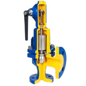 compressed air safety valve / for steam / flange / angle seat