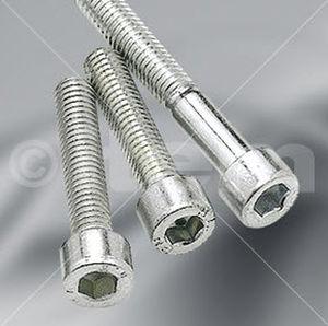 hex socket screw / with hexagonal head