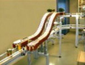 chain conveyor / flexible / horizontal