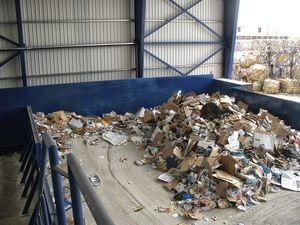 rotary feeder / motorized / paper / for cardboard boxes