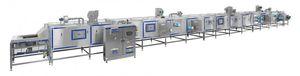 curing oven / tunnel / for the food industry