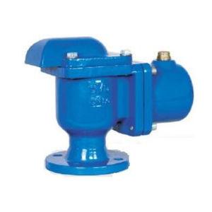 air relief valve / flange