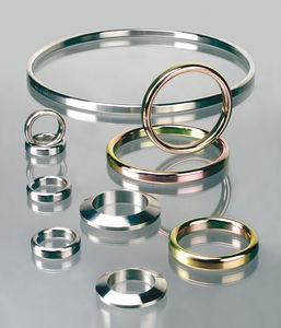 O-ring gasket / flange