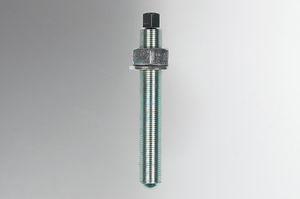 screw with hexagonal head / leveling