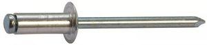 blind rivet / flat-head / steel