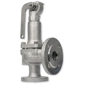 steam safety valve / plug
