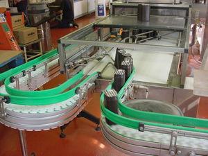 chain conveyor / for the food industry / for the pharmaceutical industry / chip