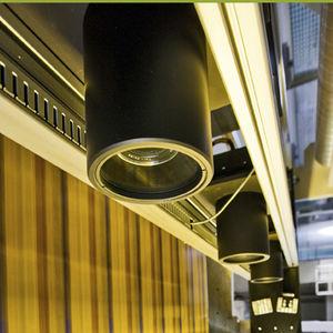 inspection camera / detection / visible / linear