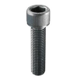 threaded bolt / socket head / steel