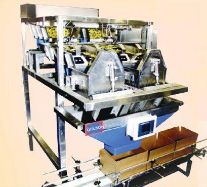 VFFS bagging machine / automatic / food / with multi-head weigher