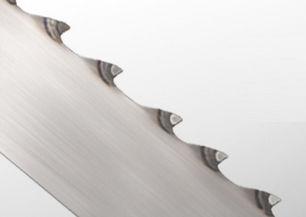 bandsaw blade / carbide / for wood