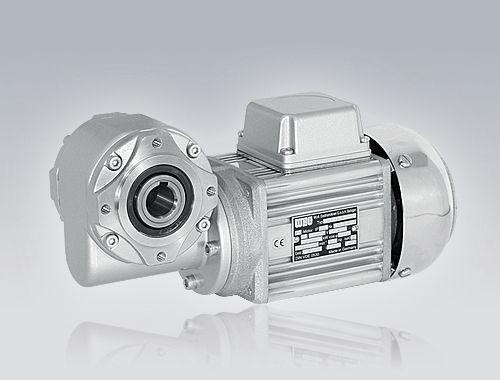 worm electric gearmotor / brushless / AC / hollow-shaft