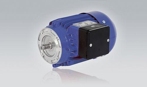 AC motor / single-phase / asynchronous / 230V