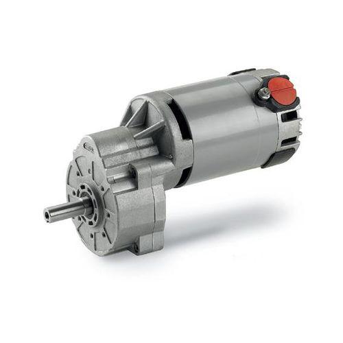 permanent magnet electric gearmotor / DC / parallel-shaft / 12-180 V