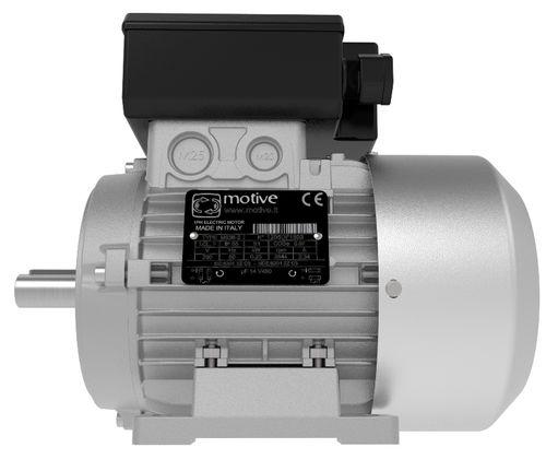 AC motor / single-phase / 230V / IP55