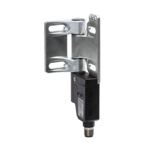 safety hinge switch