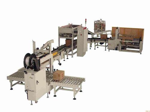 vertical case packer / automatic / for pharmaceutical industry