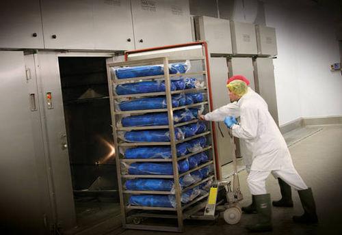 the food industry cooking unit / for sausage