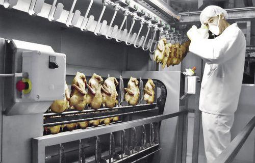 continuous baking unit / for the food industry / with automated loading/unloading