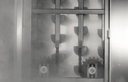 pasteurizer cooker / steam / for the food industry / for sausage