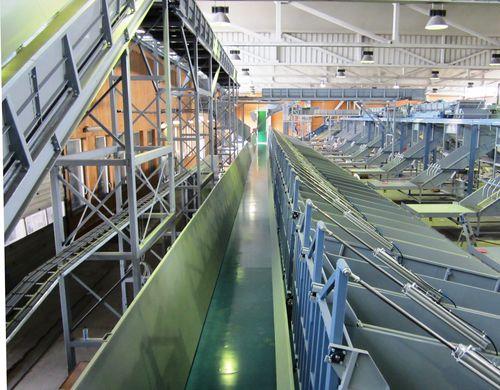 chain conveyor / roller / belt / horizontal