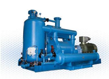 natural gas compressor / for process gas / hydrogen / liquid ring