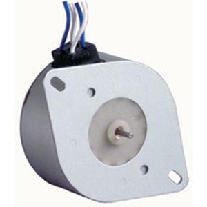 DC motor / synchronous / brushed / 48V