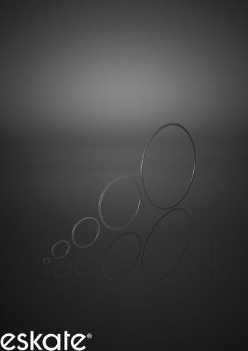 stainless steel flange / flat