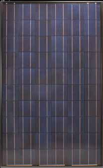 polycrystalline photovoltaic module / standard / black