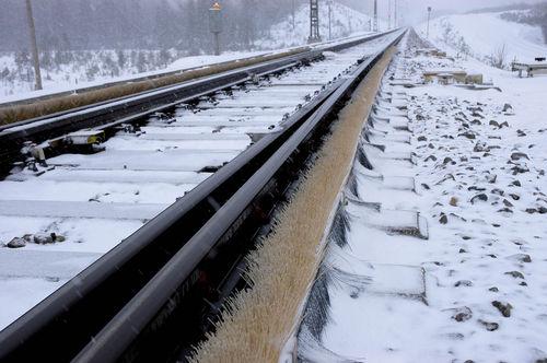 strip brush / protective / for railway turnout