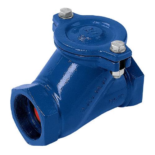 ball check valve / threaded / for water / cast iron