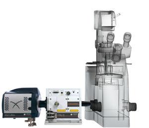 optical microscope / laboratory / inverted / computerized