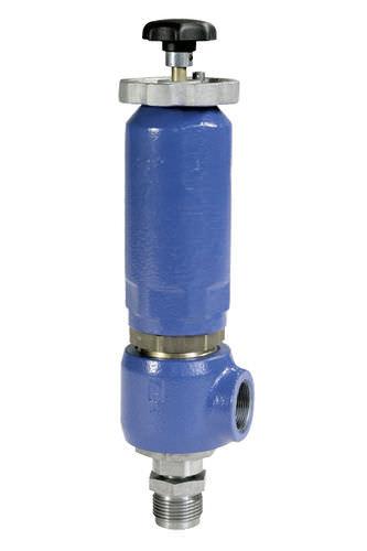 spring safety valve / threaded