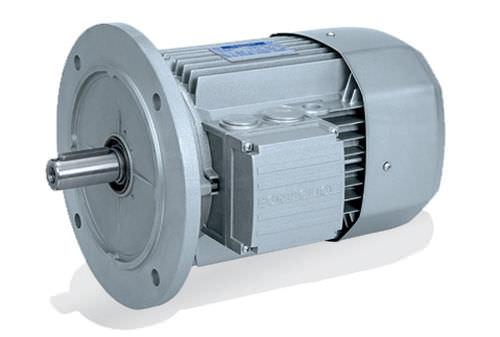 DC motor / three-phase / asynchronous / 200V