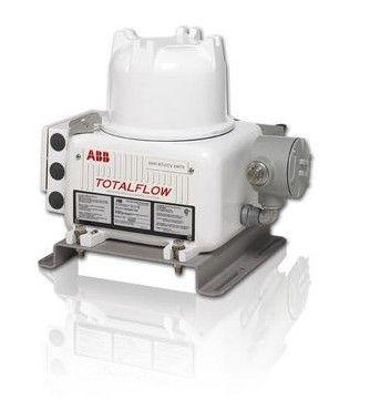 gas chromatograph / multi-detector / process