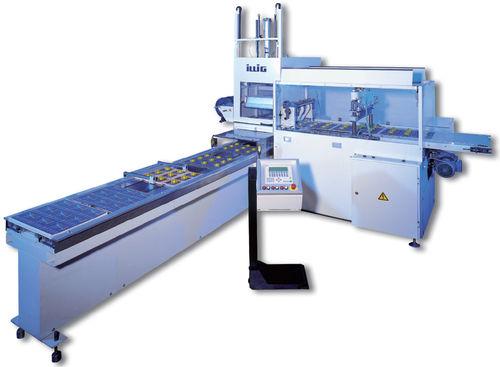 vacuum packaging machine / blister / sheet / automatic