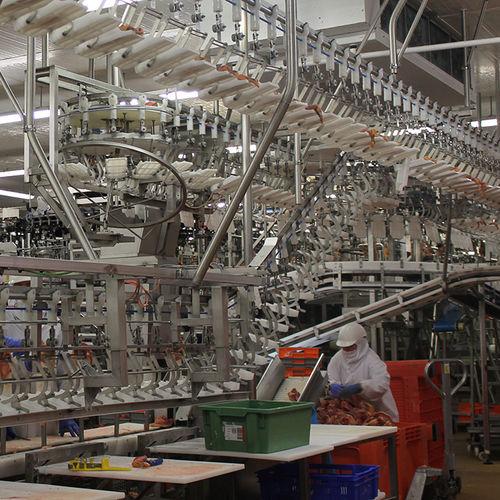 food grader / for meat / for poultry / overhead