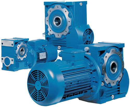 hollow-shaft electric gearmotor / worm