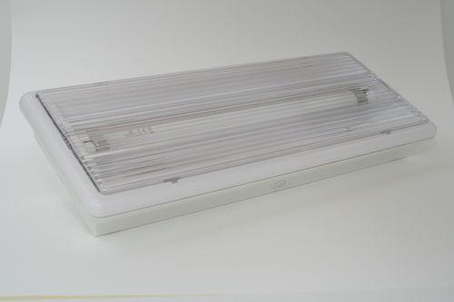 surface-mounted emergency lighting / LED / IP40