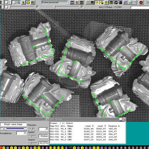 monitoring vision system