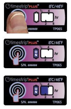 time integrator / temperature