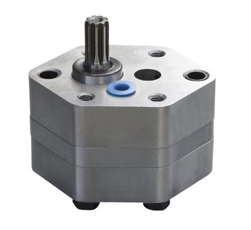 electric pump / gear